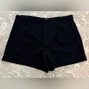 EUC A New Day Pleated Shorts (16)